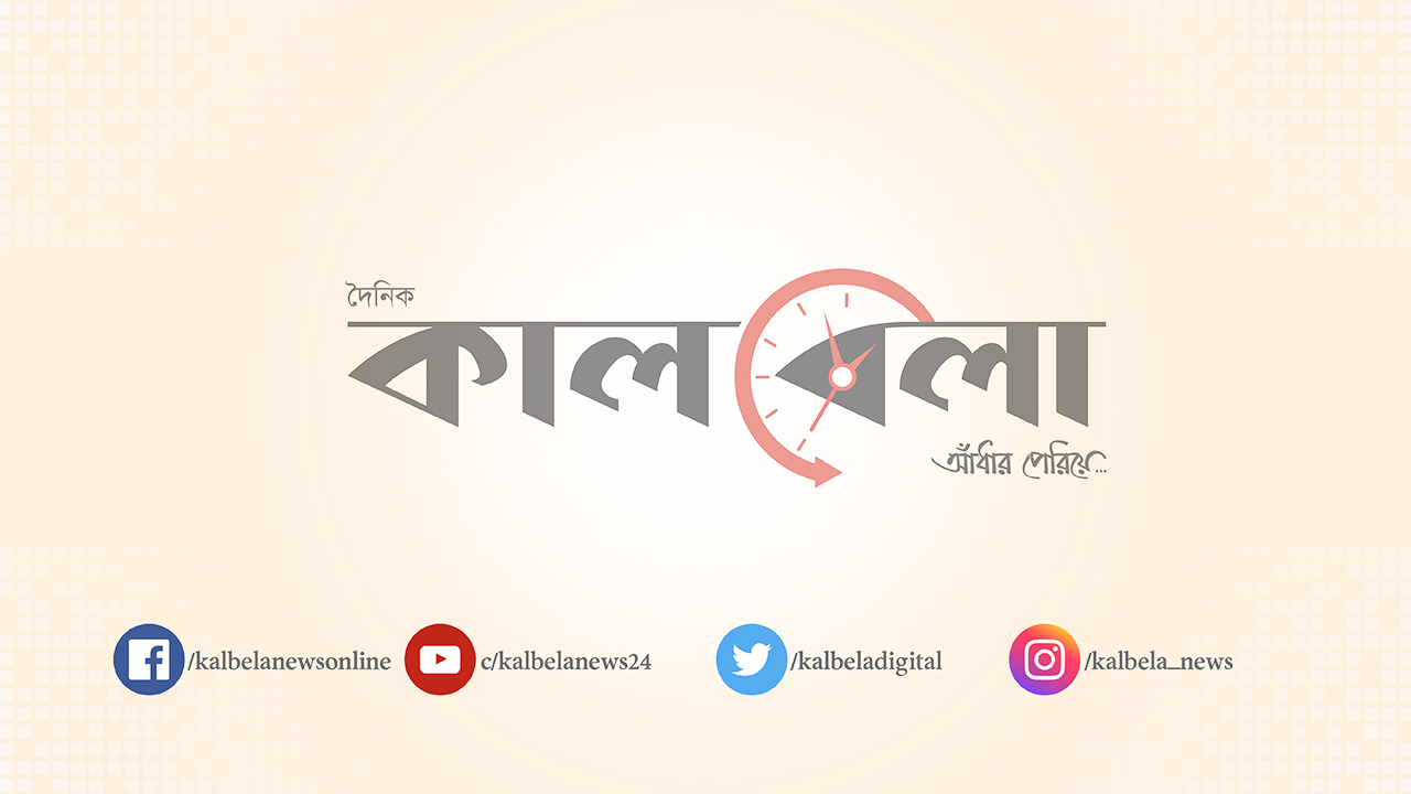 আওয়ামী লীগের কর্মসূচিতে অংশ নিয়ে কী জানালেন প্রেস সচিব